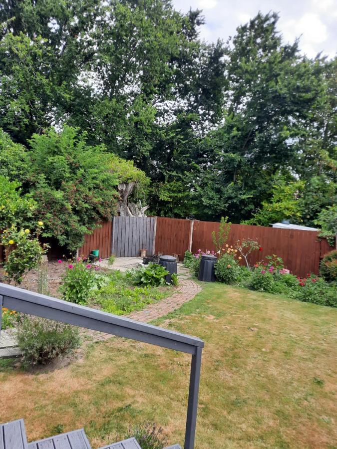 Stump Cottage Christchurch Bagian luar foto